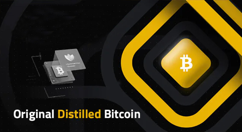 BSV blockchain launches a new hub on BitcoinSV.com