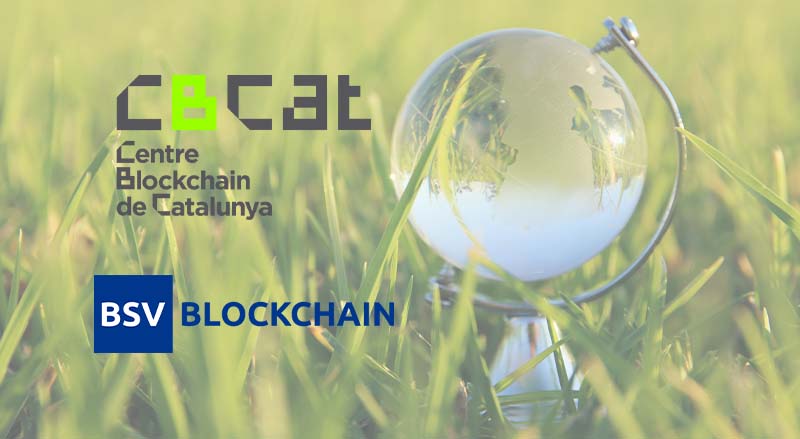 CBCat’s Blockchain 4 SDG Challenge – Decarbonisation with BSV