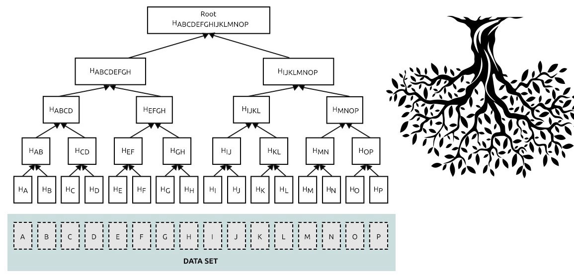 Merkle-Tree-Example