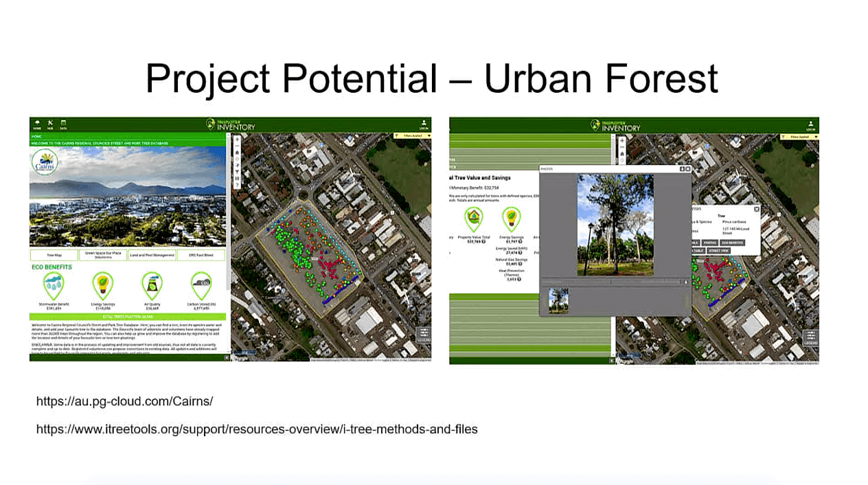 Project Potential - Urban Forest