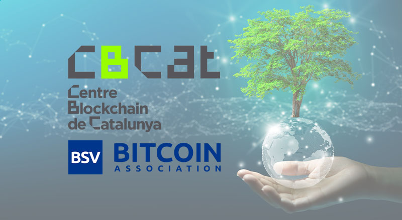 Blockchain projects to reverse climate change awarded by CBCat
