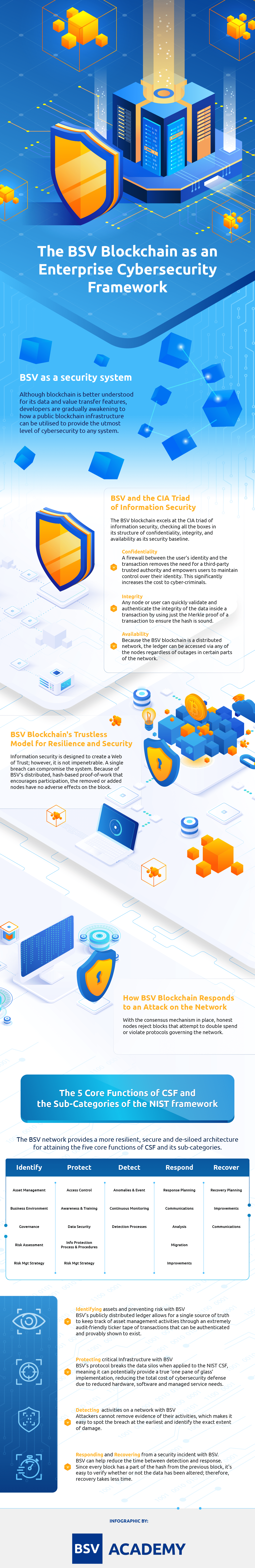 BSV Blockchain as an Enterprise Cybersecurity Framework