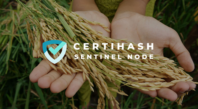 Explainer: How Certihash and Sentinel Node can help with food security